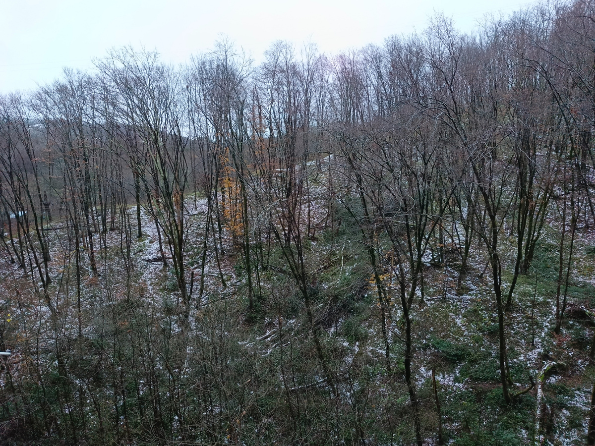 Адлер, 29 декабря 2025 года