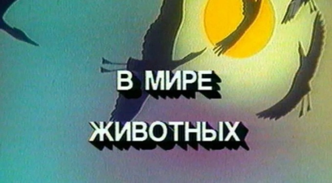 Скрин из Яндекса.