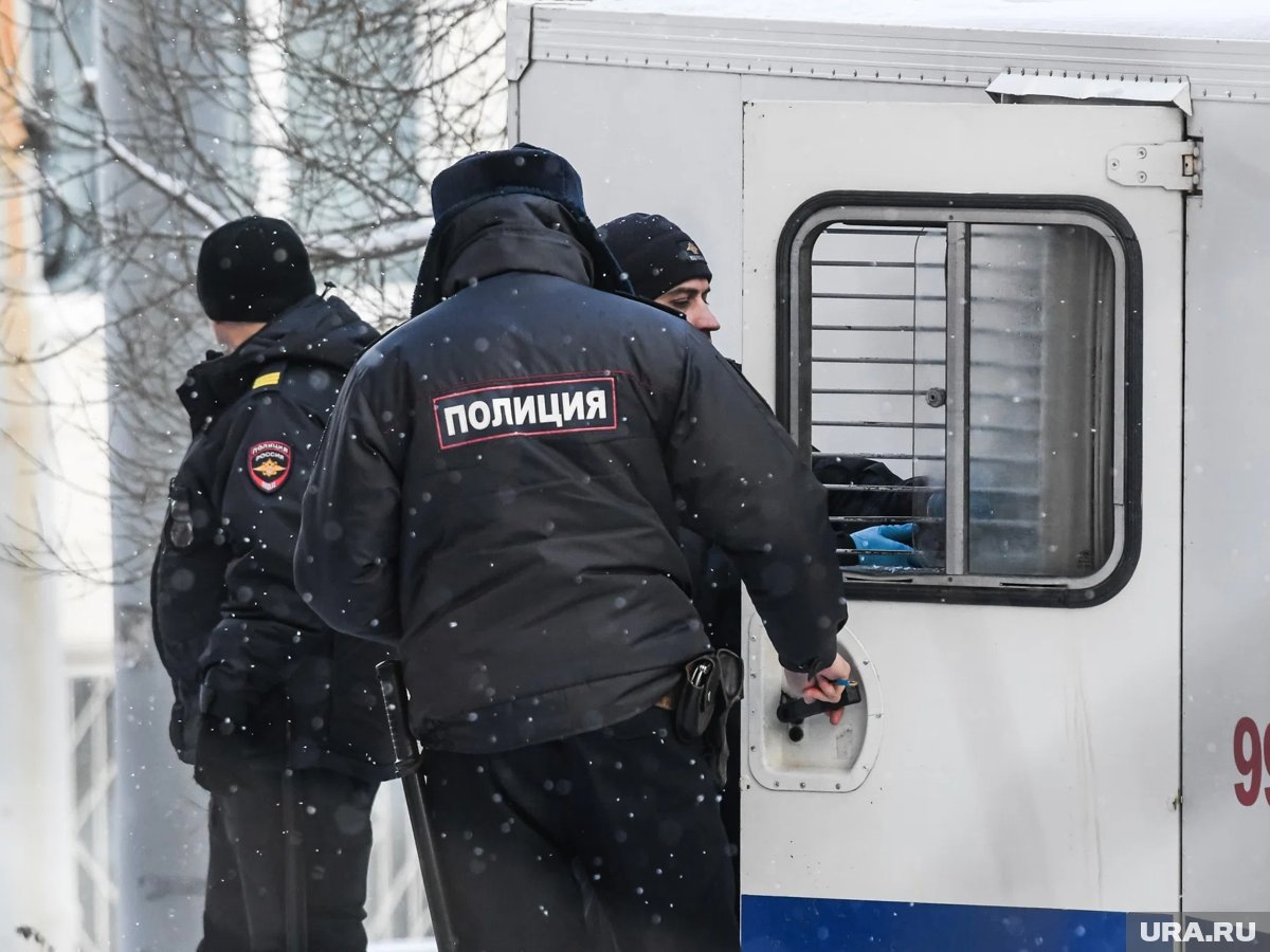     Возбуждено уголовное дело