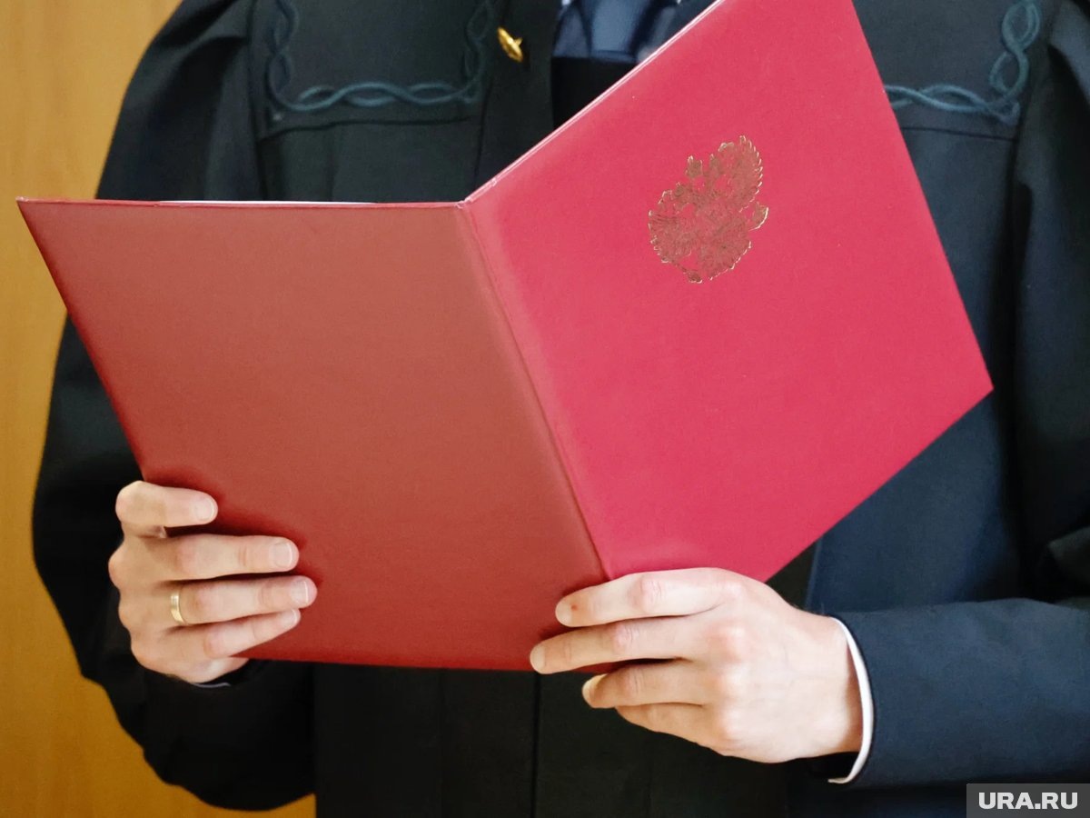     Чиркову судили за то, что, будучи чиновницей она получила взятку в размере 5,45 млн рублей от бизнесмена Микова