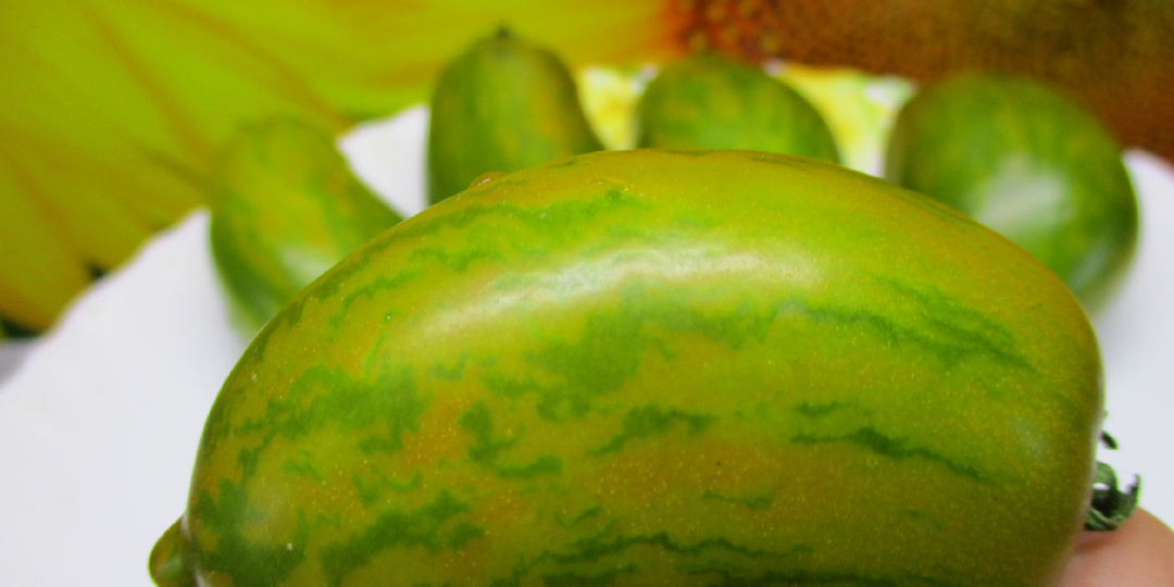 Томатный Гном Дерзкая Мери проверен временем и мной! Помидоры очень вкусные. Они понравятся любителям необычных деликатесных томатов.