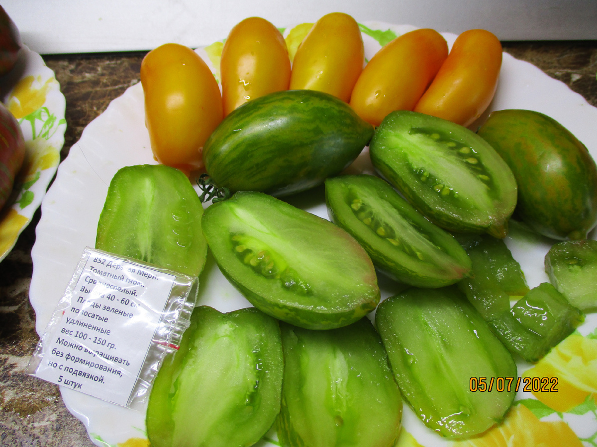 Томатный Гном Дерзкая Мери. №852 в каталоге ОГОРОДНАЯ АЗБУКА ОЛЬГИ ЧЕРНОВОЙ.