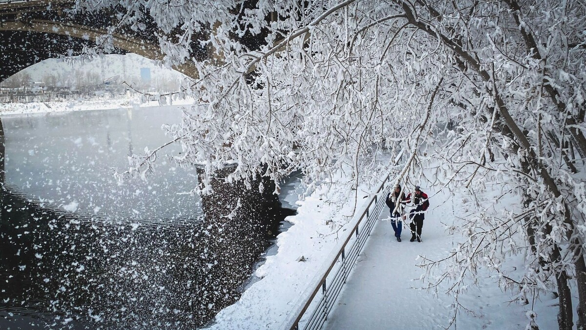    К Новому году на Ставрополье разбушуется метель и занесет снегом почти весь край   1MI