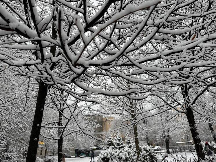     Дневная температура составит около -10 градусов. Фото: архив МК в Питере