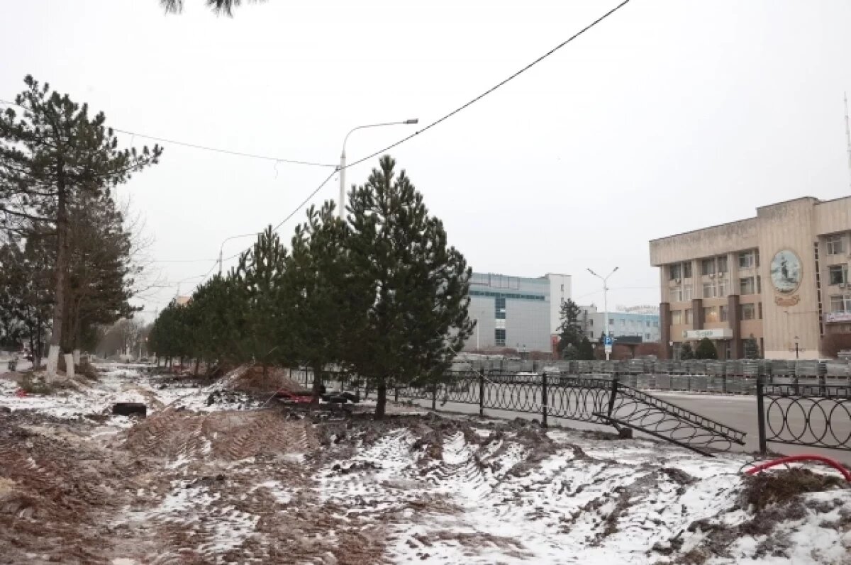    На месте срубленных деревьев в Новочеркасске высадили 12 сосен