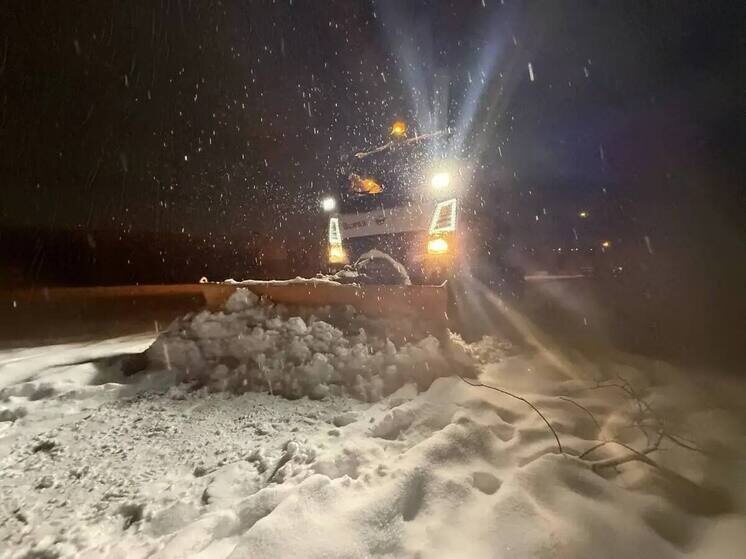     Фото: Дмитрий Денисов/Тг