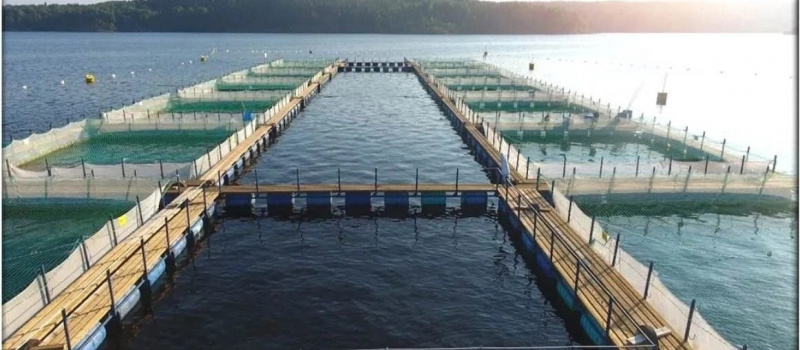    Минсельхоз Карелии