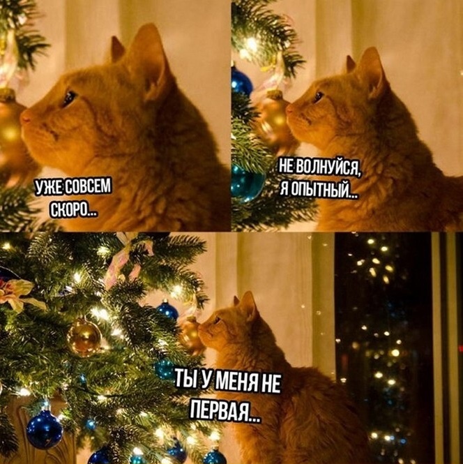 Страшно только в первый раз...