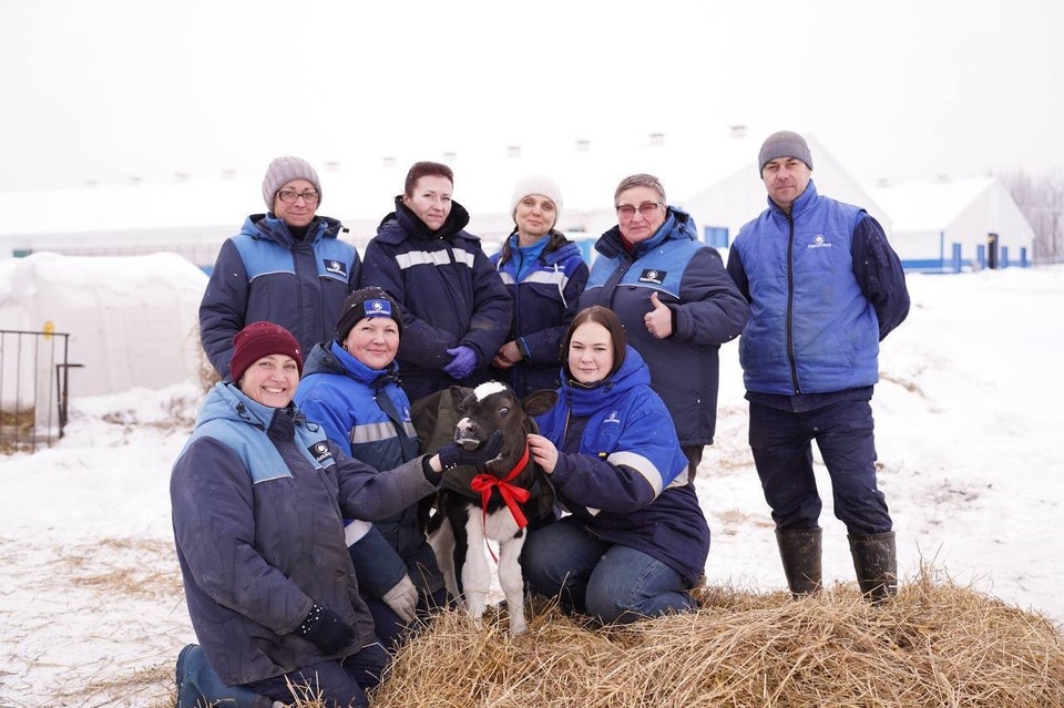    Задача по выведению собственной мясной породы была поставлена перед животноводами еще в 2024 году. Telegram-канал Глеба Никитина