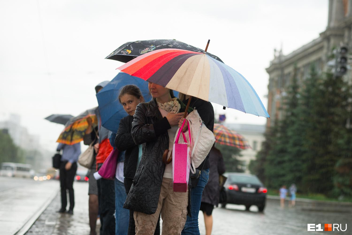 Предновогодняя суета подталкивает к импульсивным покупкам — особенно когда вы устали.