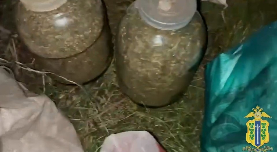    Фото УМВД России по Липецкой области.