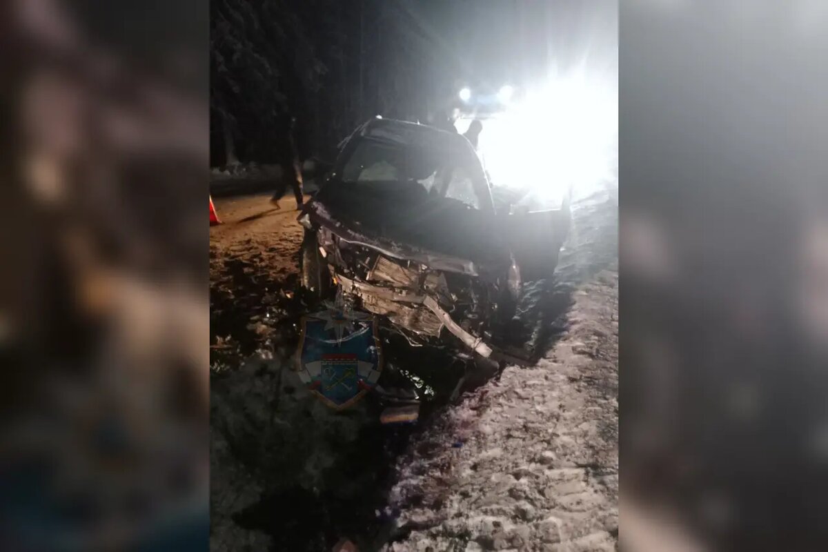    Фото: Аварийно-спасательная служба Ленобласти