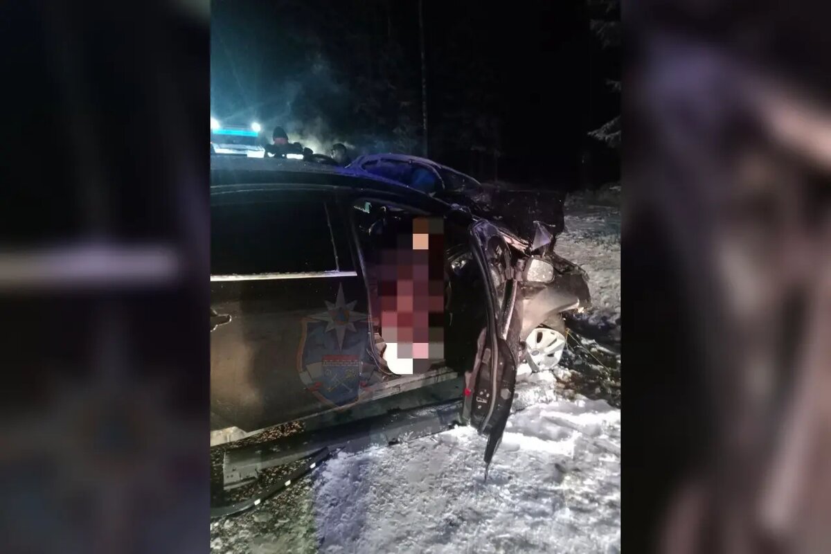    Фото: Аварийно-спасательная служба Ленобласти