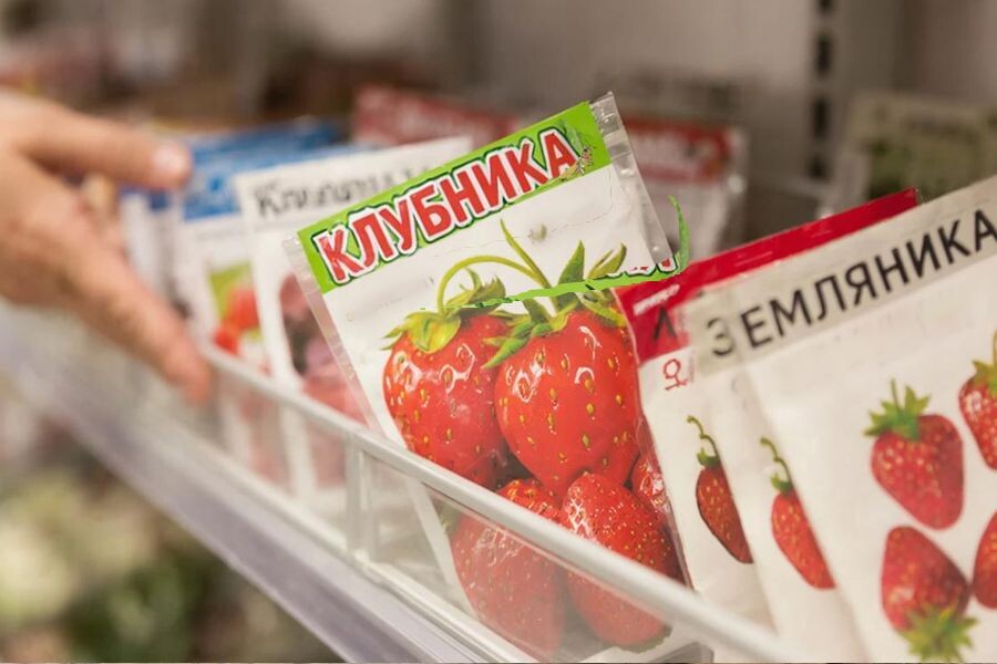 И всё-таки, Клубника или Земляника? Ставим точку!