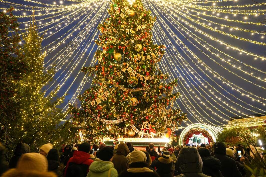 Фото: ИЗВЕСТИЯ/Дмитрий Коротаев