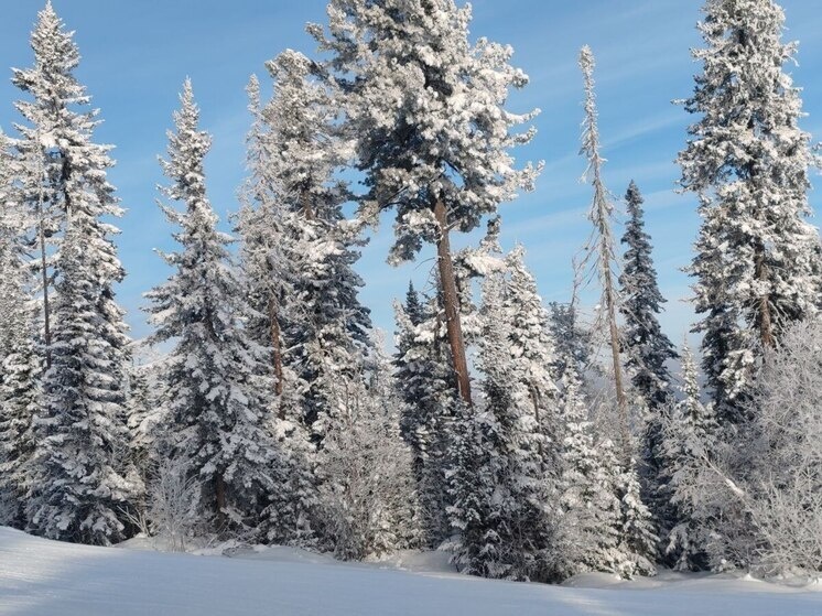   МК в Бурятии