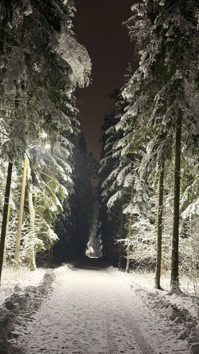    Полина Диброва и Роман Товстик показали свой дом. Источник: t.me/dibrovapolina