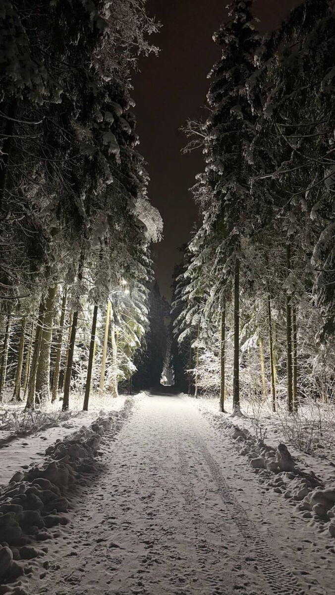    Полина Диброва и Роман Товстик показали свой дом. Источник: t.me/dibrovapolina