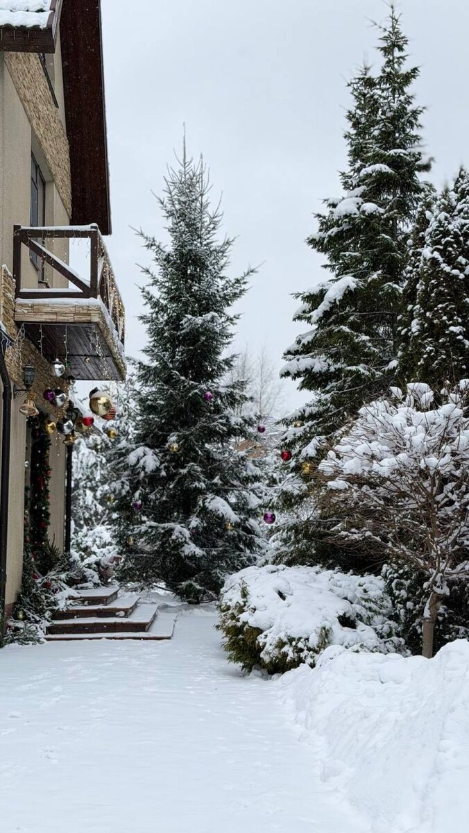    Полина Диброва и Роман Товстик показали свой дом. Источник: t.me/dibrovapolina