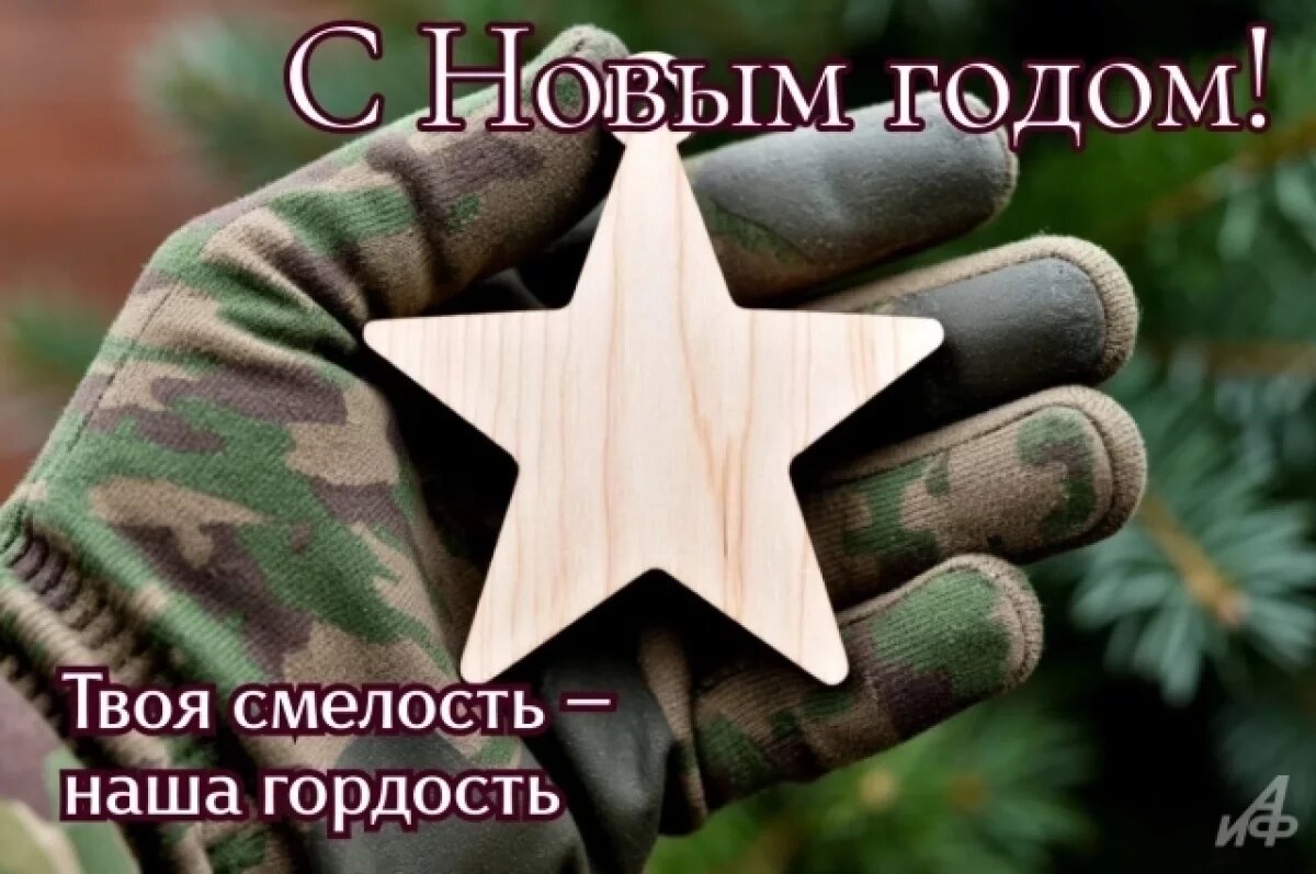    Срочнику и бойцу СВО.