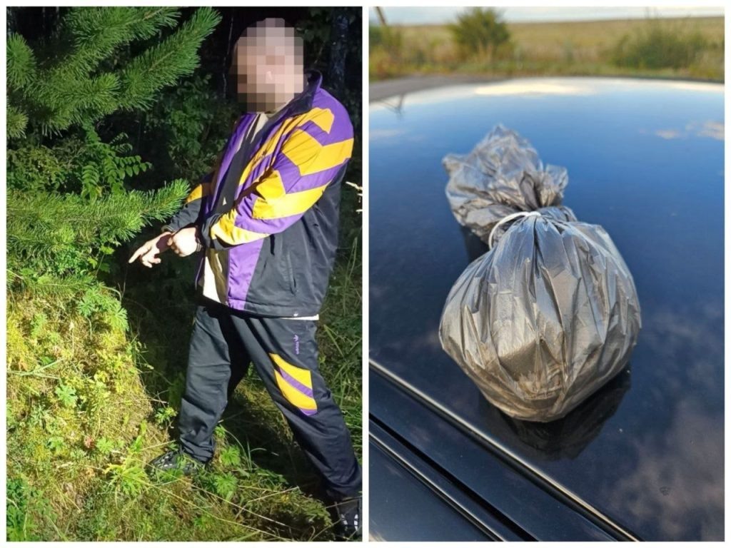    фото: МВД по РХ Kristina