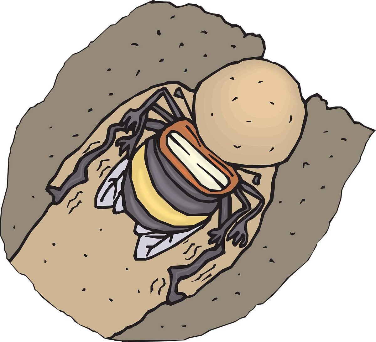 Понос во время зимовки пчел