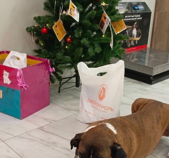 Ну что же, надеемся в этом году наш операционный график подошел к концу