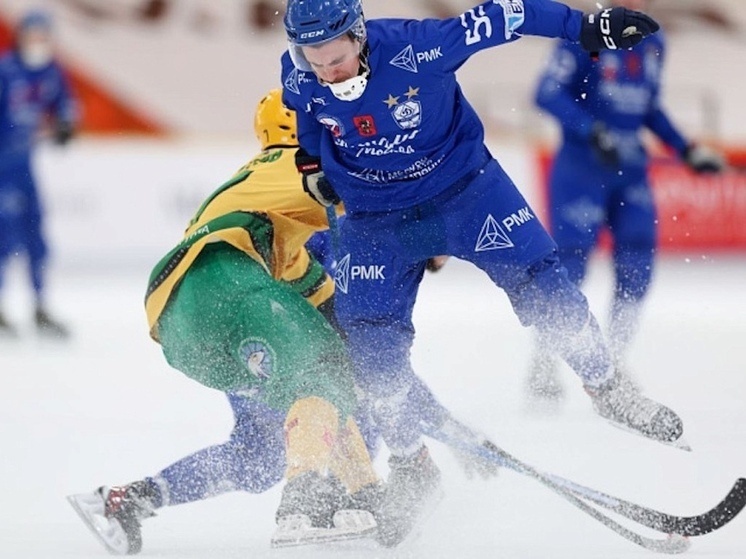     Фото: ХК «Динамо»