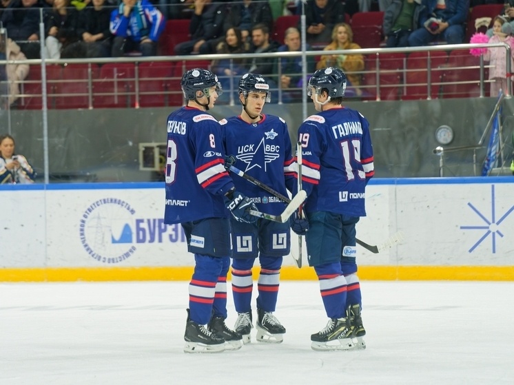     Фото: соцсети ХК ЦСК ВВС