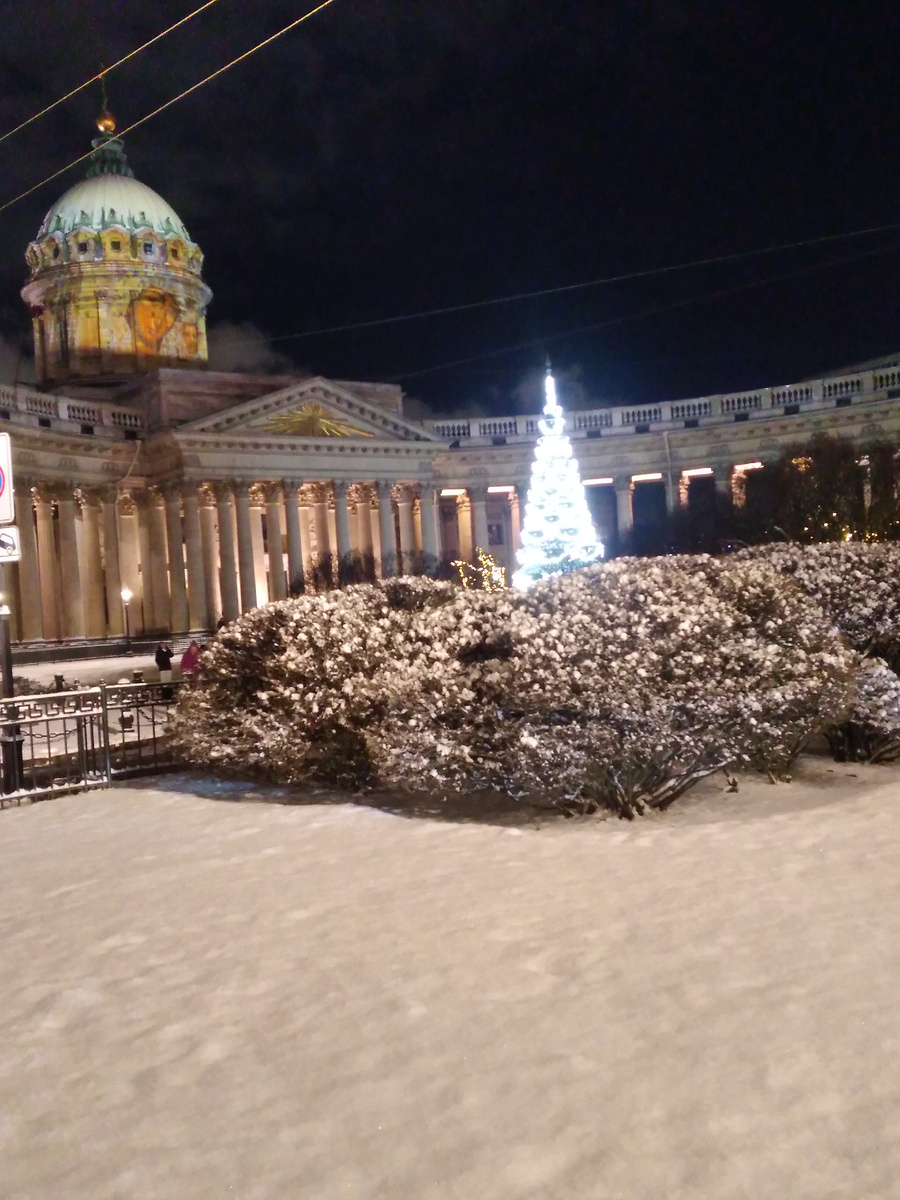 Фото автора.