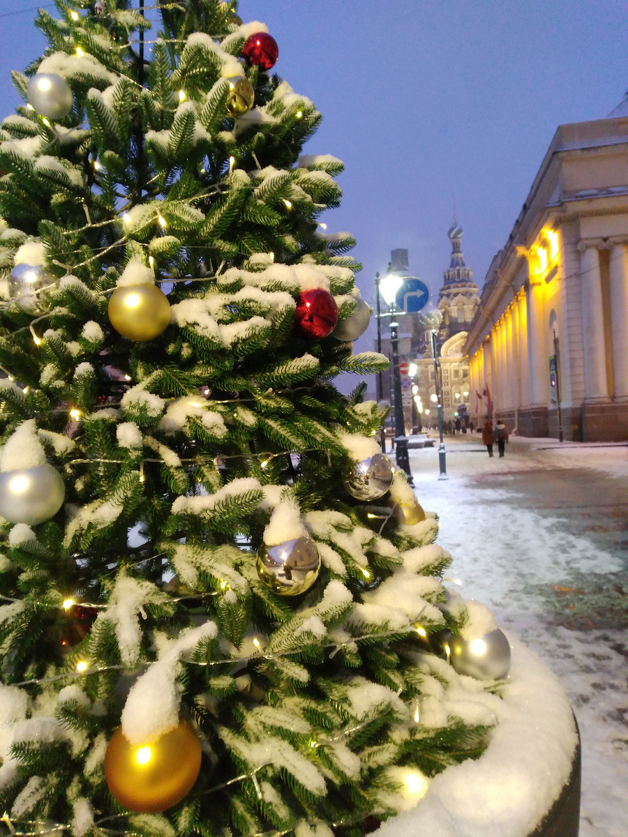 Фото автора.