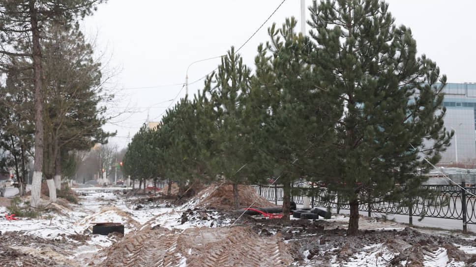 Фото: Пресс-служба губернатора Ростовской области