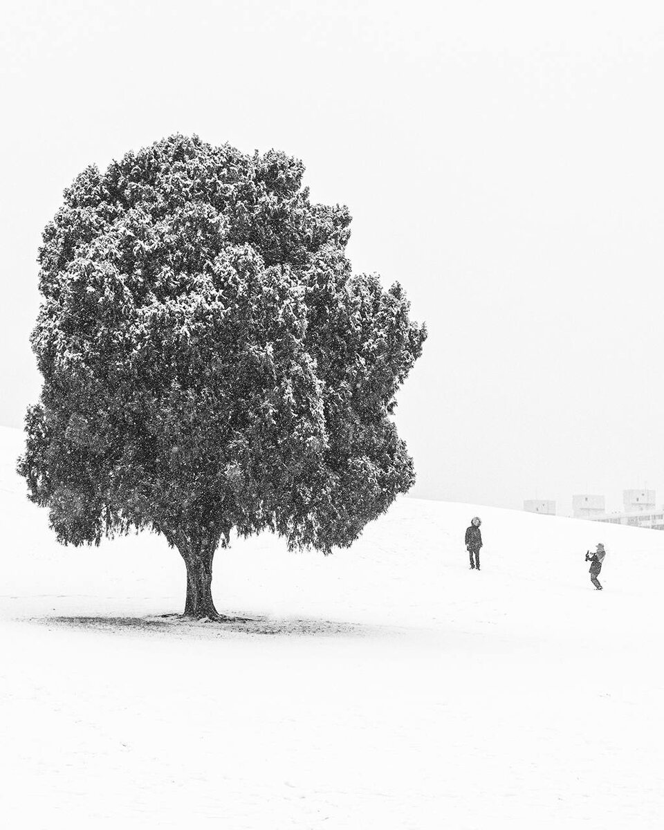 Заснеженные достопримечательности Сеула. Источник: Korea Tourism Organization.