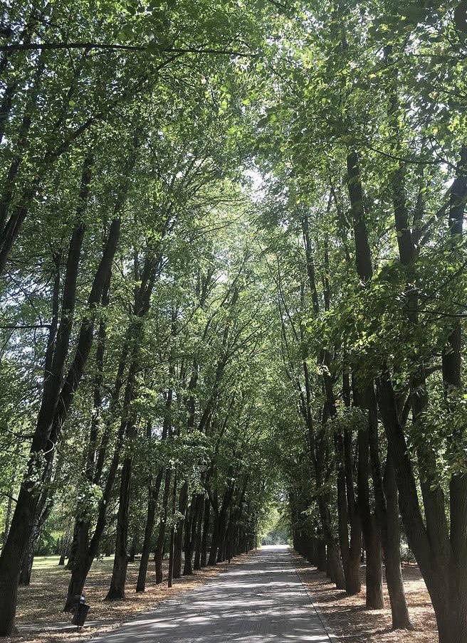 Краснодар. Дендрарий.