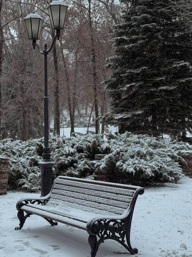     Фото: "МК в Самаре"