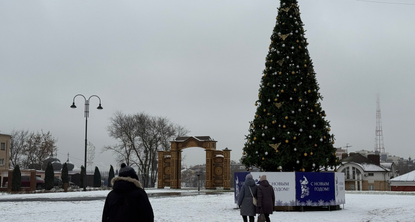    Фото progorod43.ru