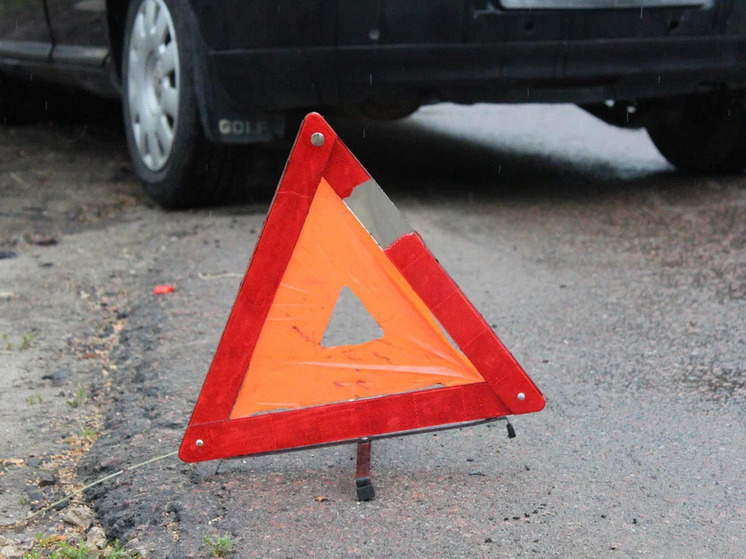     фото: мк черноземье