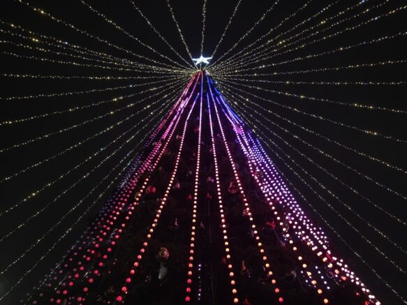    Фото: Элина Болдырева