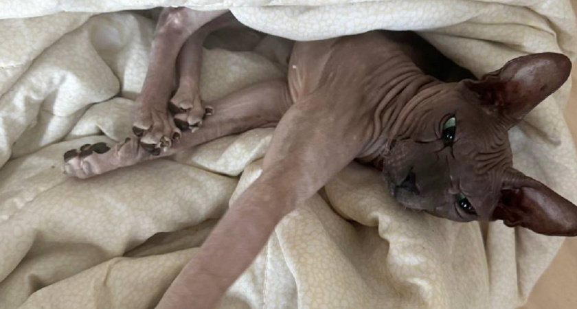    Фото Анастасии Дмитриевой