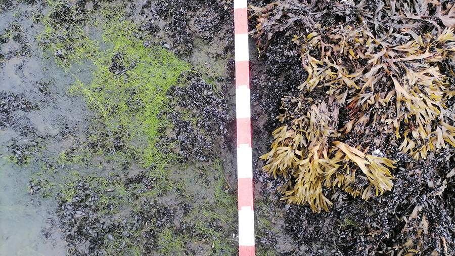    Фото: Вадим Хайтов