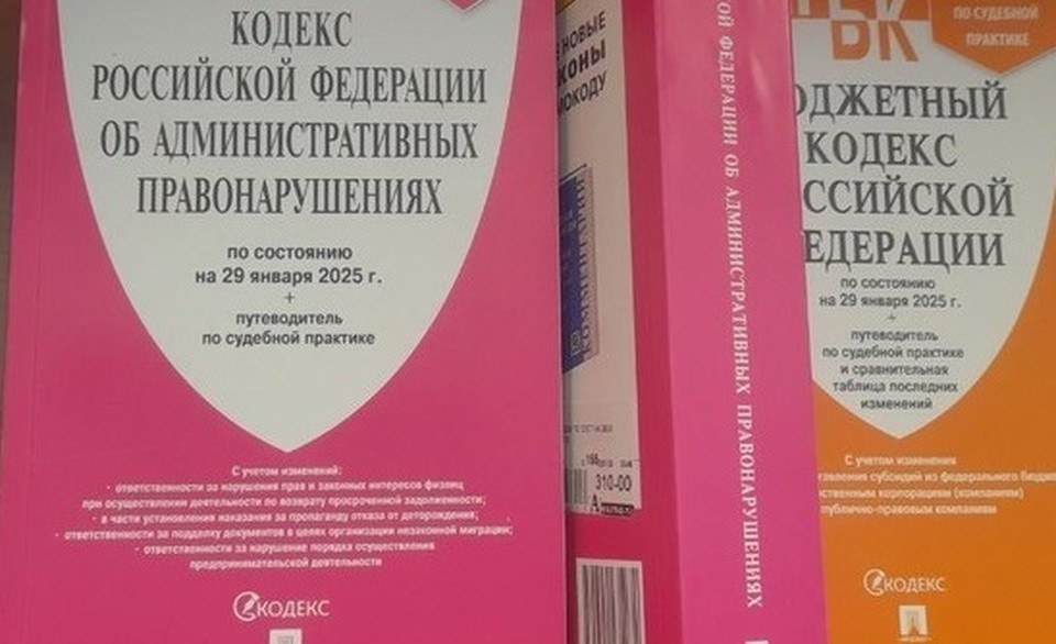    В отношении дамы сотрудники ГАИ составили семь административных материалов. Алексей СЕРГУНИН