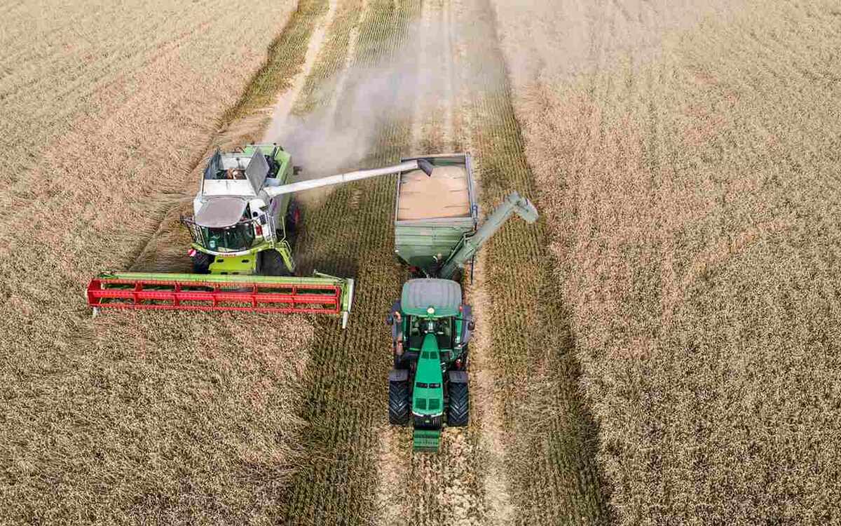    Заместитель генерального директора ГК «Продимекс» Вадим Ерыженский: «Перед агробизнесом стоят серьезные вызовы» Дмитрий Зеленцов