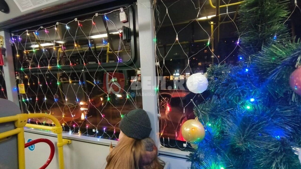    Стало известно, по какому расписанию в новогодние праздники будут курсировать автобусы   bel.ru