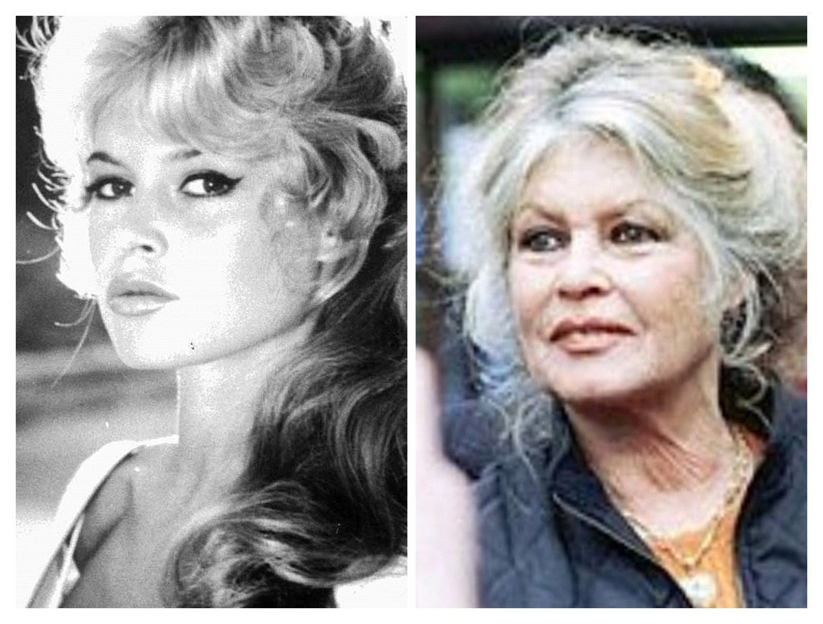 Источник изображения wikimedia commons.