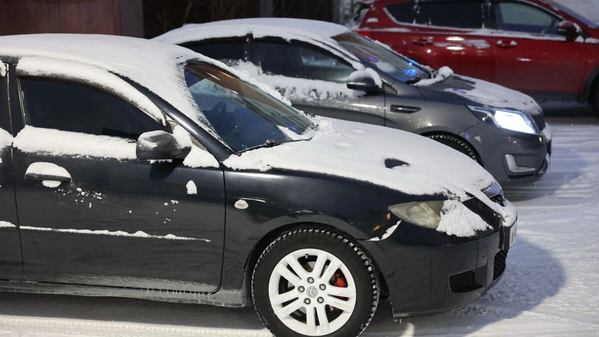    Фото: Андрей Ткачев/«Ямал-Медиа»