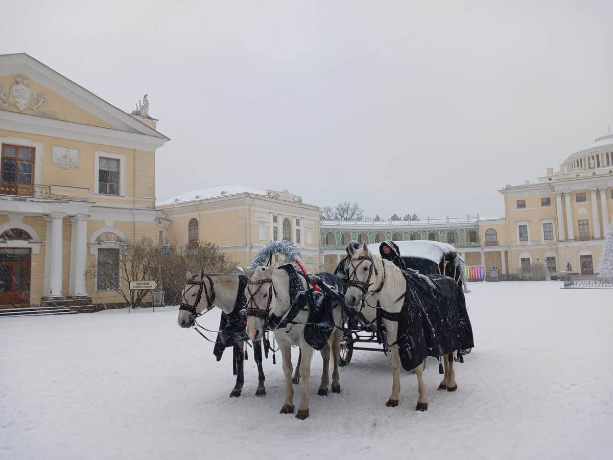 Дворец Павла I в Павловске.