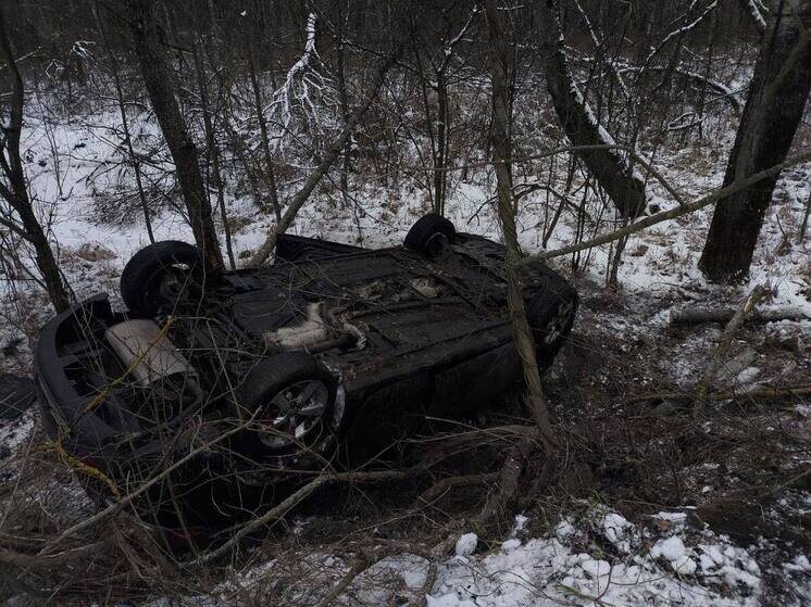     фото: телеграм-канал ГОСАВТОИНСПЕКЦИи БРЯНСКОЙ ОБЛАСТИ
