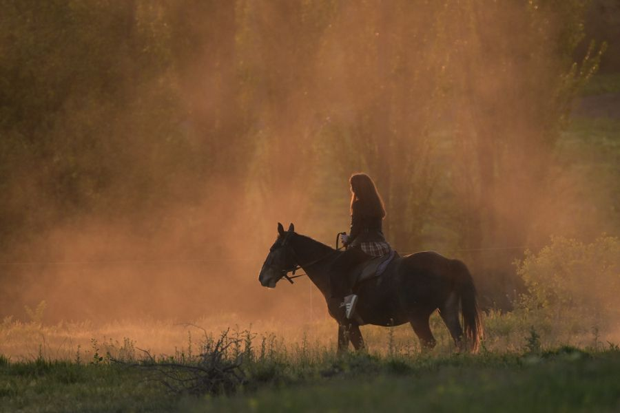 Конная прогулка вдоль Белой скалы (Ак-Кая) в Белогорском районе Крыма / Константин Михальчевский/РИА Новости