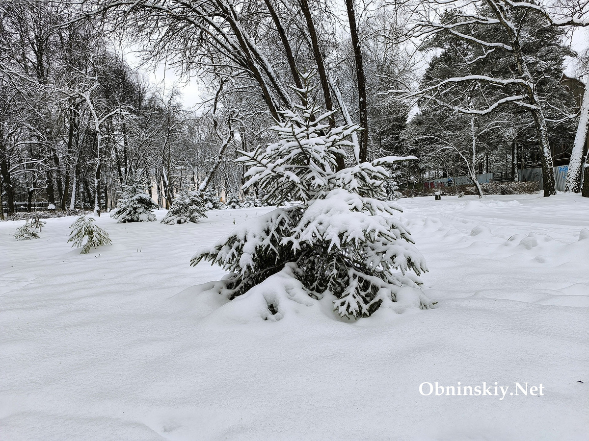 Снежный декабрь 2025 в Обнинске