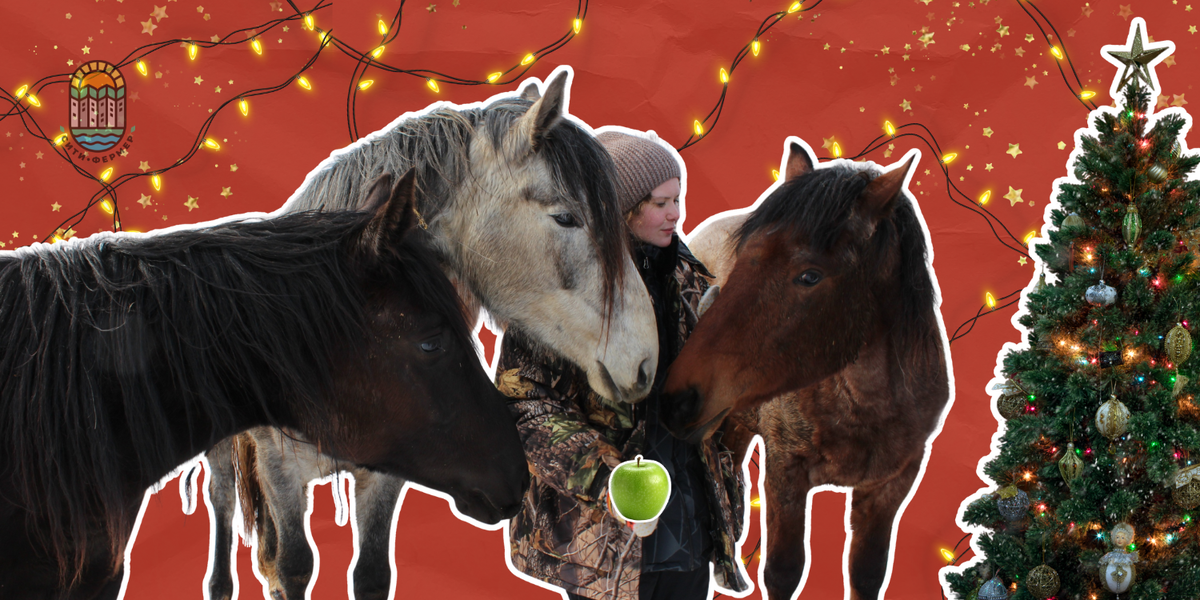 Фото из архива Лизы Шайко